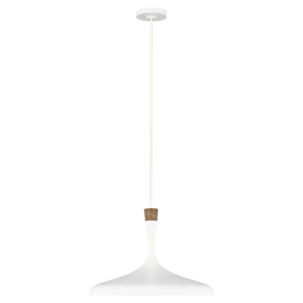 Sospensione Contemporanea Darwin Acciaio Bianco Opaco Legno 1 Luce E27