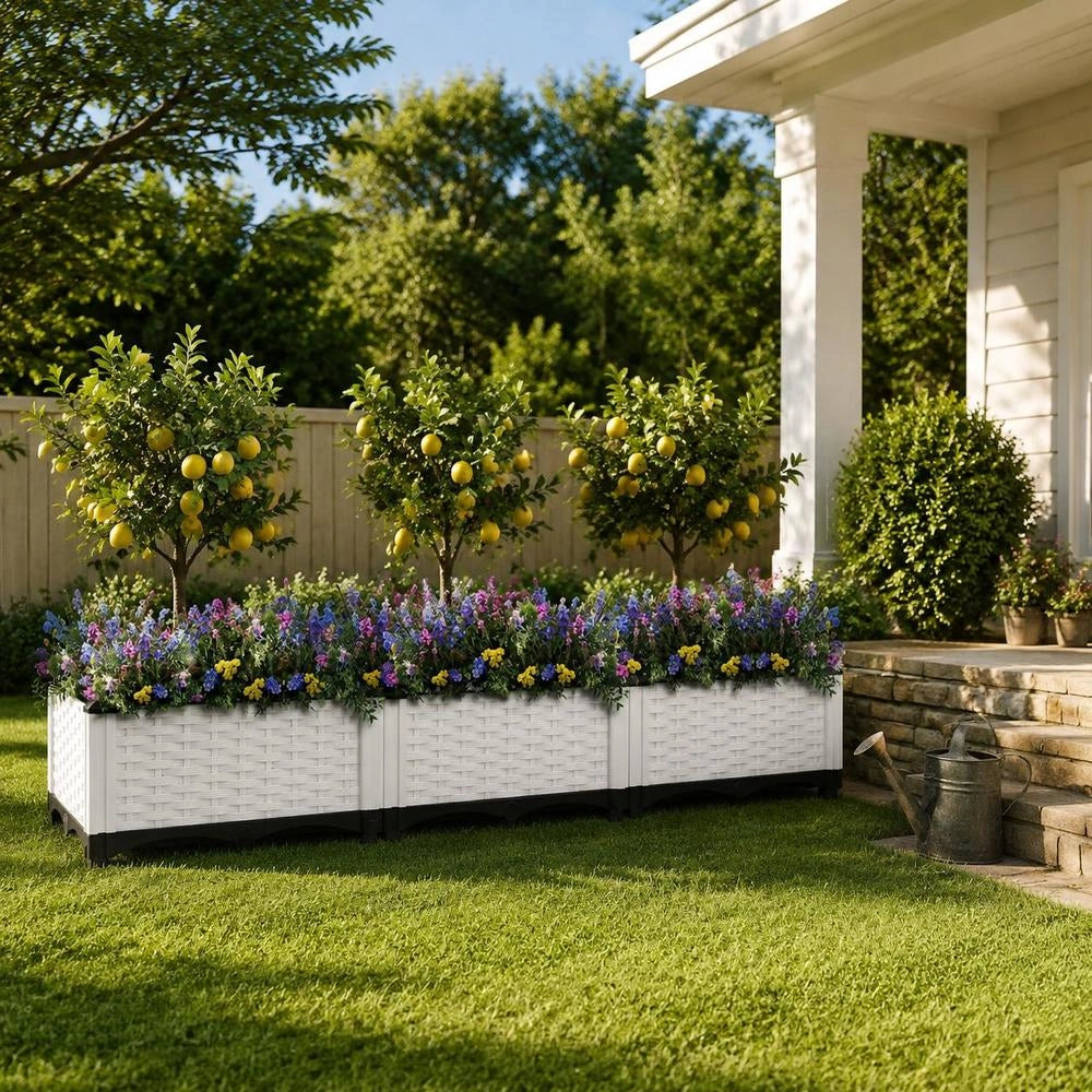 Raised Bed 120x40x23 Cm Polypropylene