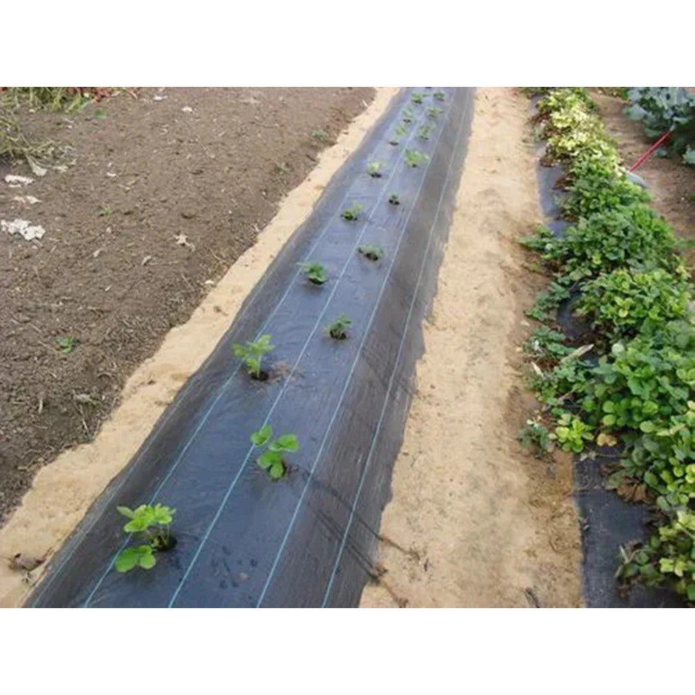 Trade Shop - Rete Anti Erba Telo Pacciamatura Per Orto Giardino Serra 1.5x10mt Resistente 023297 -