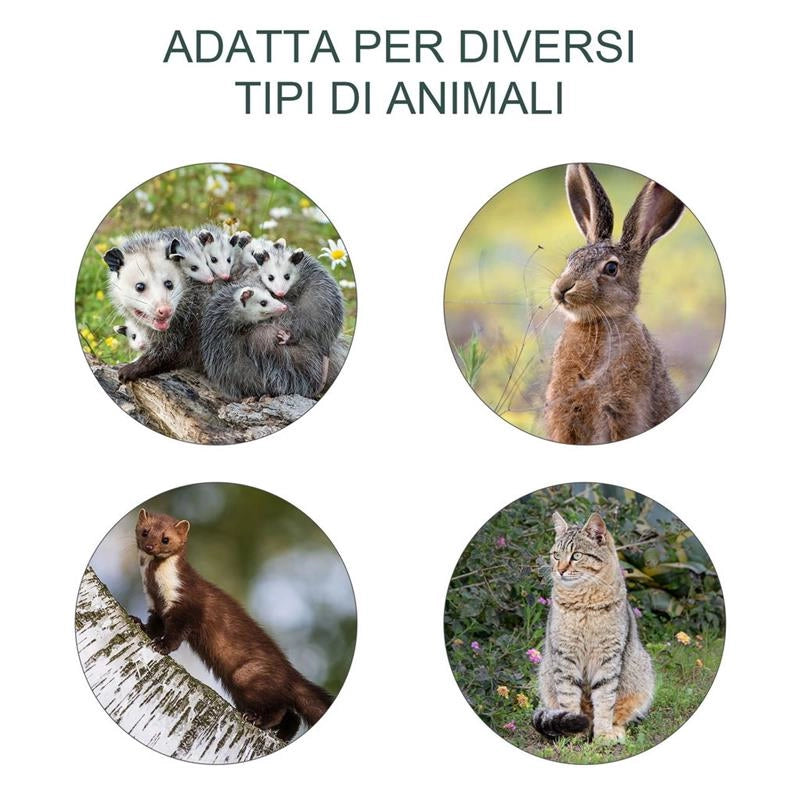 GABBIA TRAPPOLA PER ANIMALI VIVI PIEGHEVOLE IN ACCIAIO, 81X26X34.5CM, ARGENTO