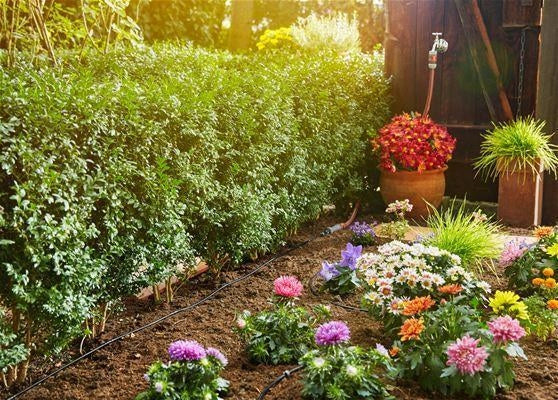 Gardena 13010-20 Micro-Drip-System Starter Set per Irrigazione a Goccia Tubo 15 m colore Nero