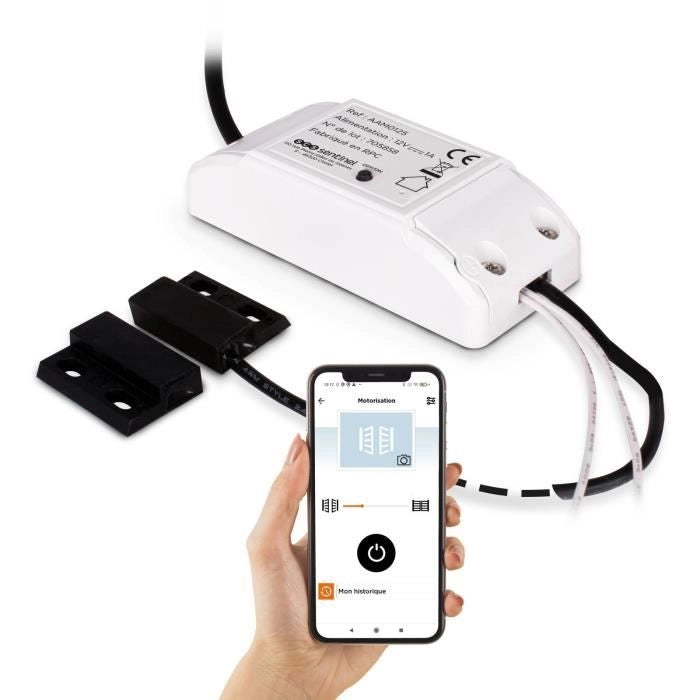 Modulo ricevitore - SCS SENTINEL - WifiGate - Connesso