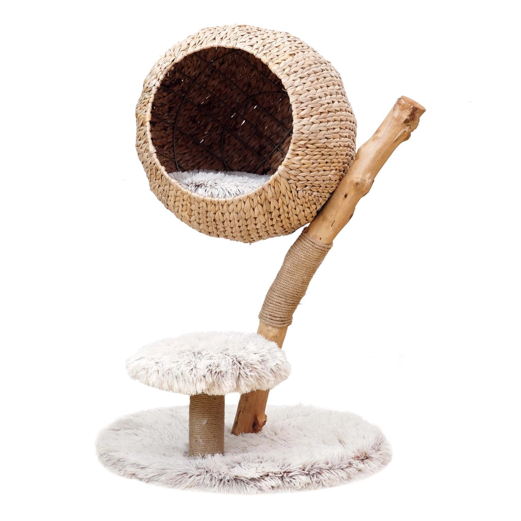 Fudajo Designer Albero tiragraffi design a rami 83 cm con cestino in peluche