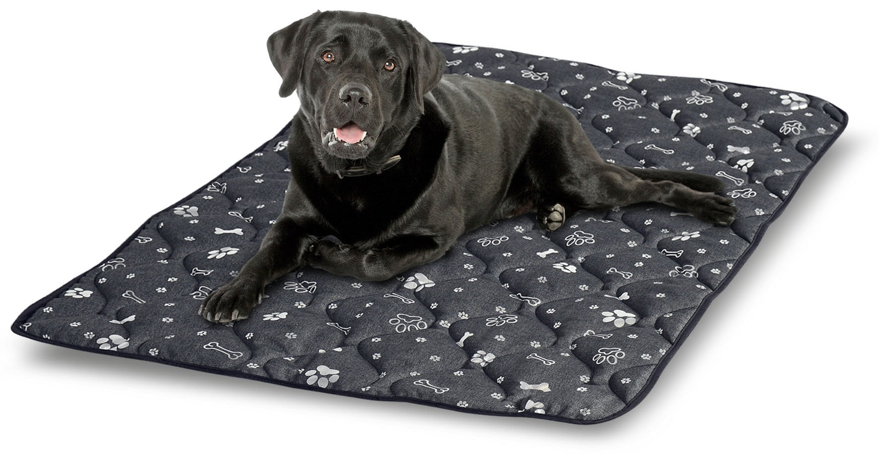 AIO FACTORY 100x70 cm Tappetino per cuccia per cani impermeabile Silver Bones