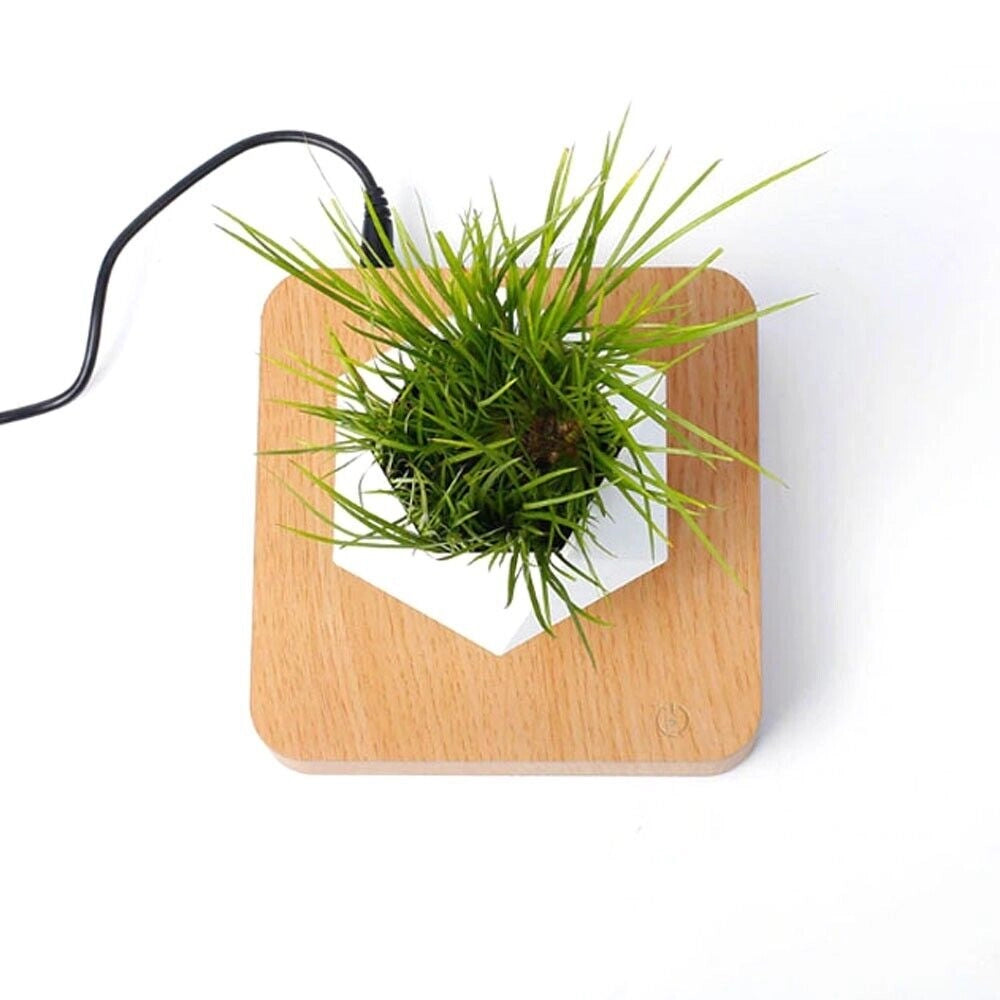 Vaso per piante bonsai a levitazione magnetica che vola piantina sospesa in aria