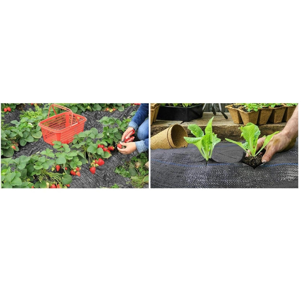 OWIJI Telo Anti Erbacce PRO Pacciamatura Nero Polipropilene Dimensioni 1,5 x 10 m Resistente Permeabile Giardino Orto Aiuola