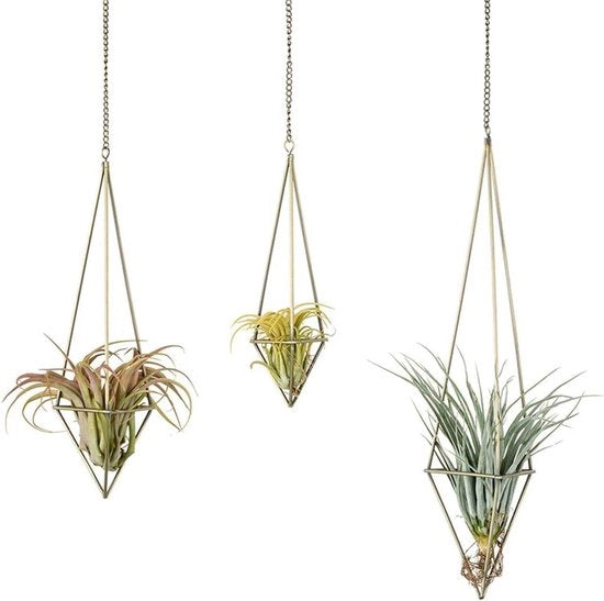 Display per piante aeree per decorazione della zona home office - Set di 3 sospensioni metalliche Himmeli contenitore geometrico per piante con catena - grata in bronzo per piante aeree appese