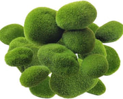 30 pezzi di palle di muschio verde - Decorative palle di muschio per arte di muschio - Fai da te e modellismo