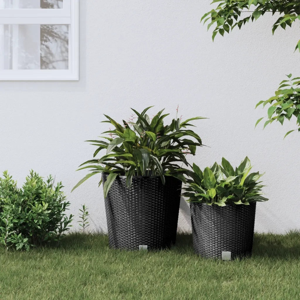 Fioriera | Cassetta per fiori | Vaso con Interno Rimovibile Antracite 35 / 37,5 L PP Rattan