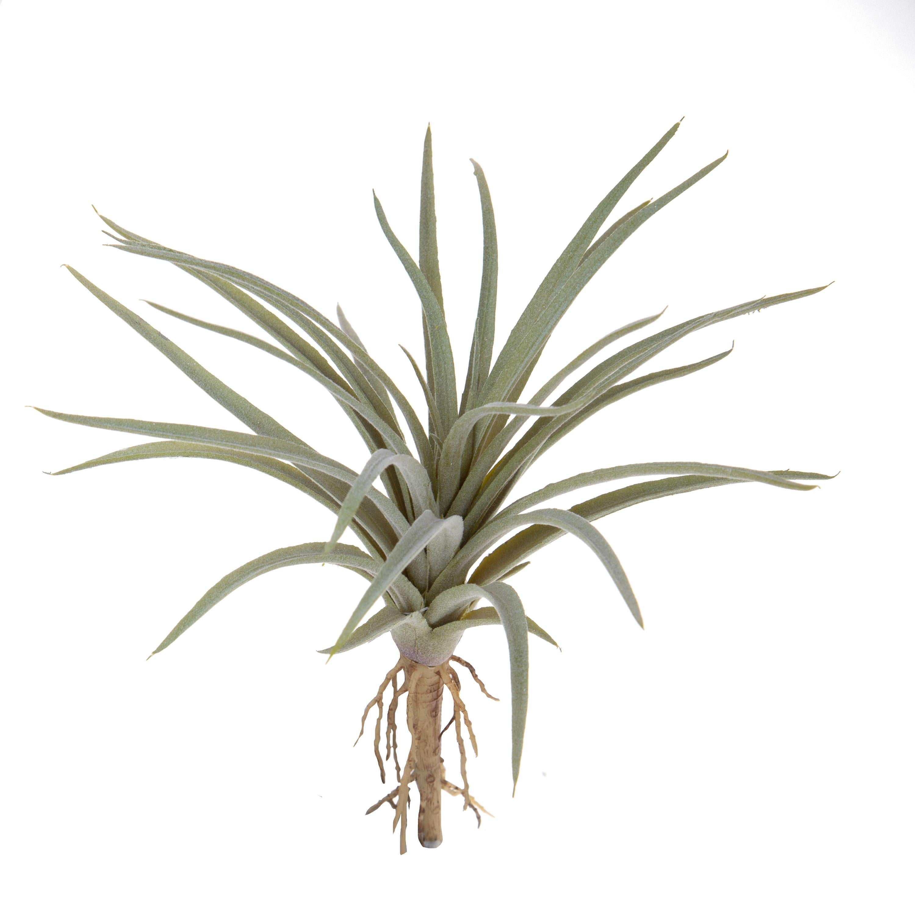 Set 6 Foglie Artificiali Tillandsia 16 cm