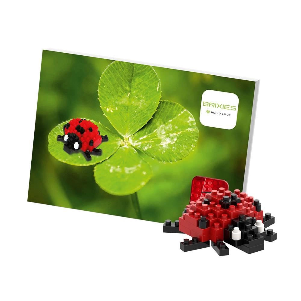 Brixies - Cartolina Coccinella - 49 pz.