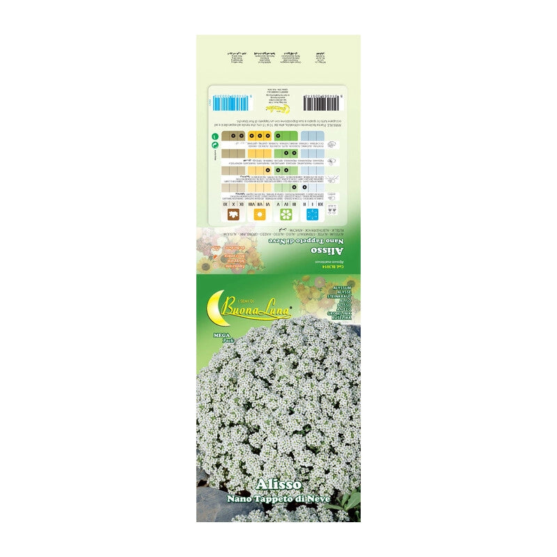 SEMI GARDEN ALISSO NEVE NANO- 10,0 pz