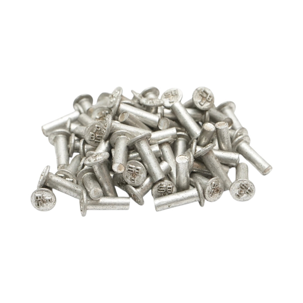Set di 100 rivetti per pastiglie freno Fiat, New Holland, Massey Ferguson 16x4,5mm codice OEM 850197, MF05-0042