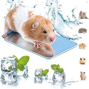 Pannello raffreddante riutilizzabile 12x8 cm - Materiale duraturo - Adatto per hamsters/cavie - Efficiente dissipatore di calore