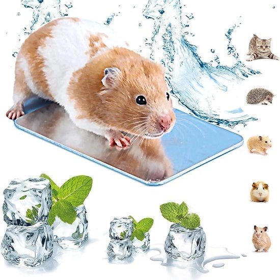 Pannello raffreddante riutilizzabile 12x8 cm - Materiale duraturo - Adatto per hamsters/cavie - Efficiente dissipatore di calore