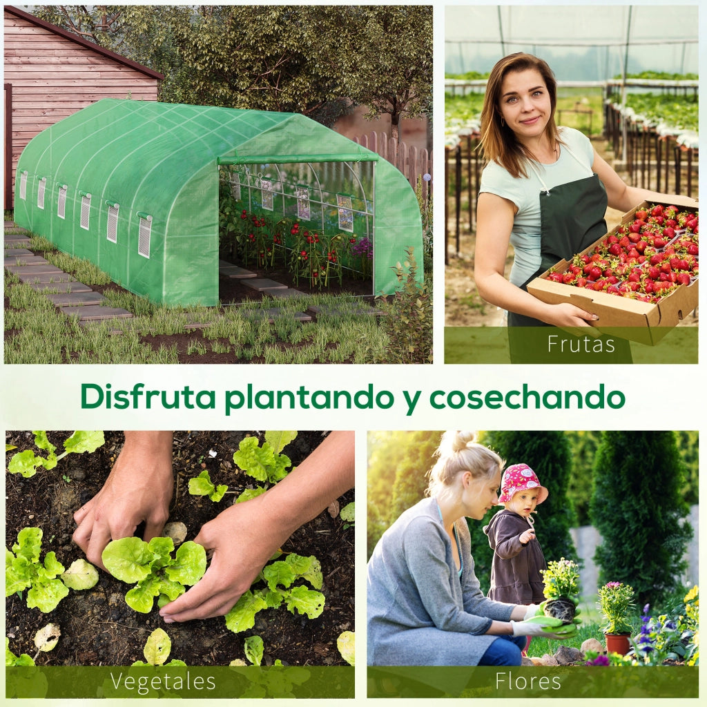 Serra da giardino a tunnel ¨C zephmum ¨C 8x3x2 m verde con 12 finestre e porta a rullo