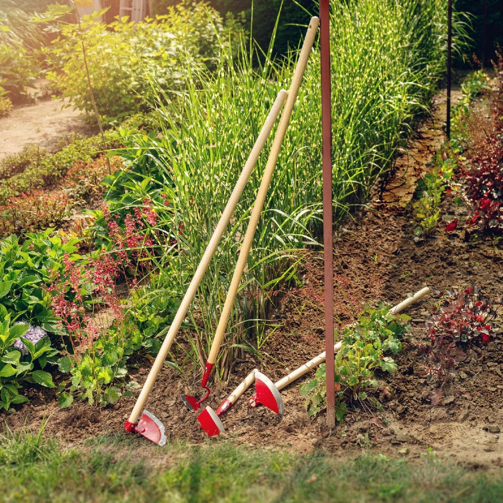 Zappa da giardino forgiata KADAX da 10 cm per estirpare le erbacce, con manico in legno.