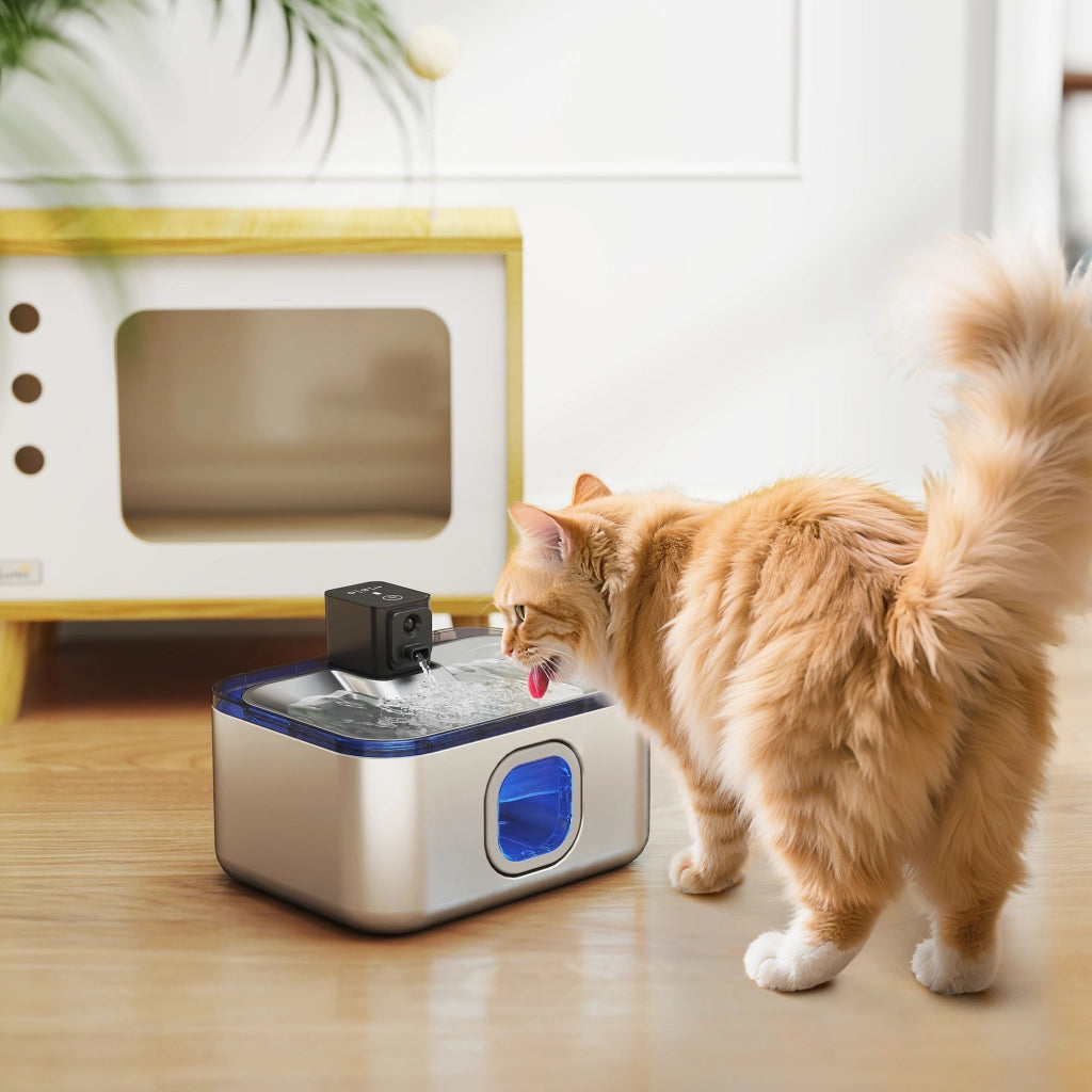 Fontana per Gatti Automatica ¨C zephmum ¨C Acciaio Inox 5L LED Filtro