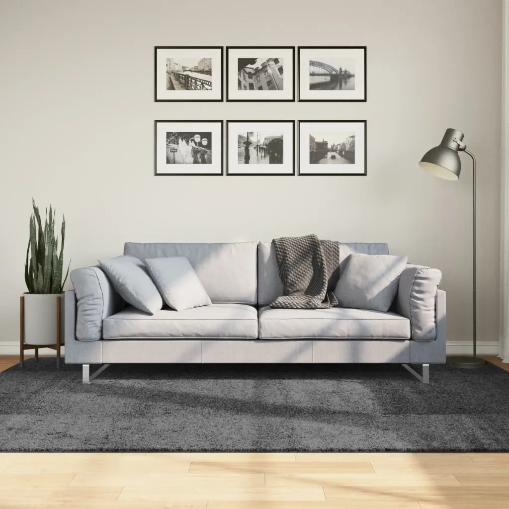 Tappeto del soggiorno | Tappeto OVIEDO a Pelo Corto Antracite 160x230 cm