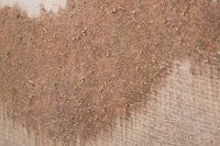 Dipinto Su Tela Browny cm 80X3,7X100