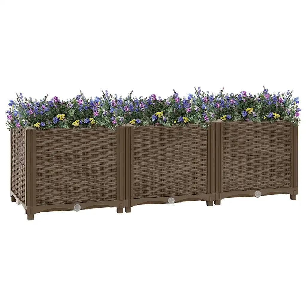 Fioriere | Cassetta per fiori | Letto rialzato 120x40x38 cm in polipropilene