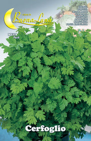 SEMI ORTO CERFOGLIO- HORTUS SEMENTI- 10,0 pz