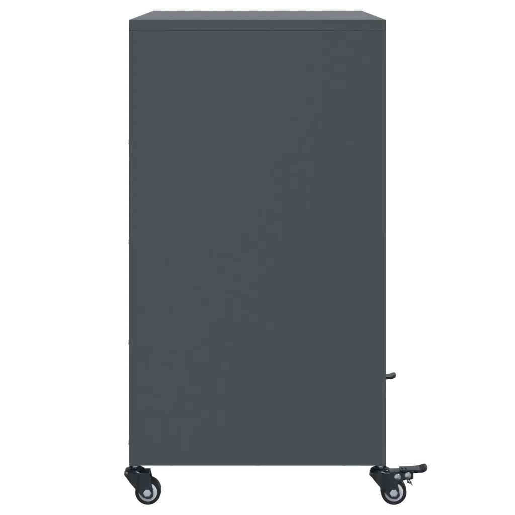 Credenza | Madia | Buffet da pranzo | Armadio da pranzo Antracite 68x39x72 cm in Acciaio