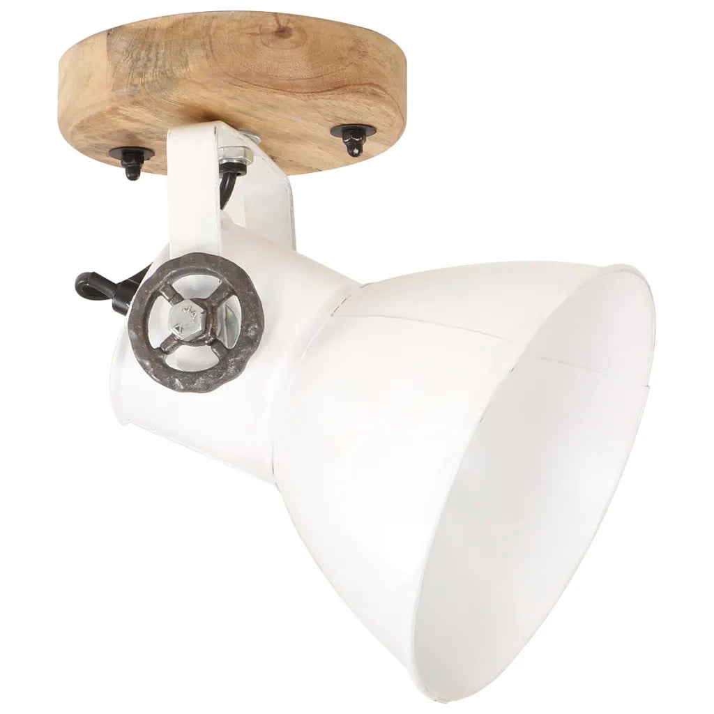 Lampade da Parete/Soffitto 2 pz Industriale Bianca 20x25 cm E27 CFW8867364