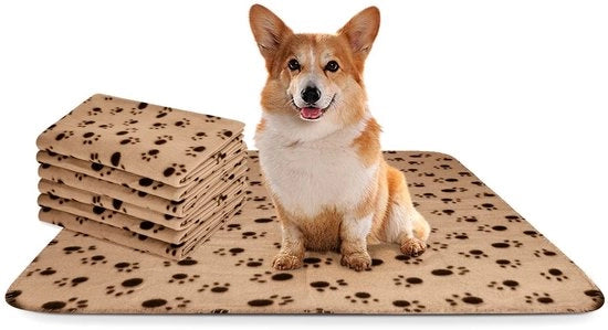 Duvetta per Animali - Duvetta in Fleece soffice per Animali - Beige 75x75cm - Duvetta lavabile per Cani e Gatti - Ideale per Mobili e Trasporto