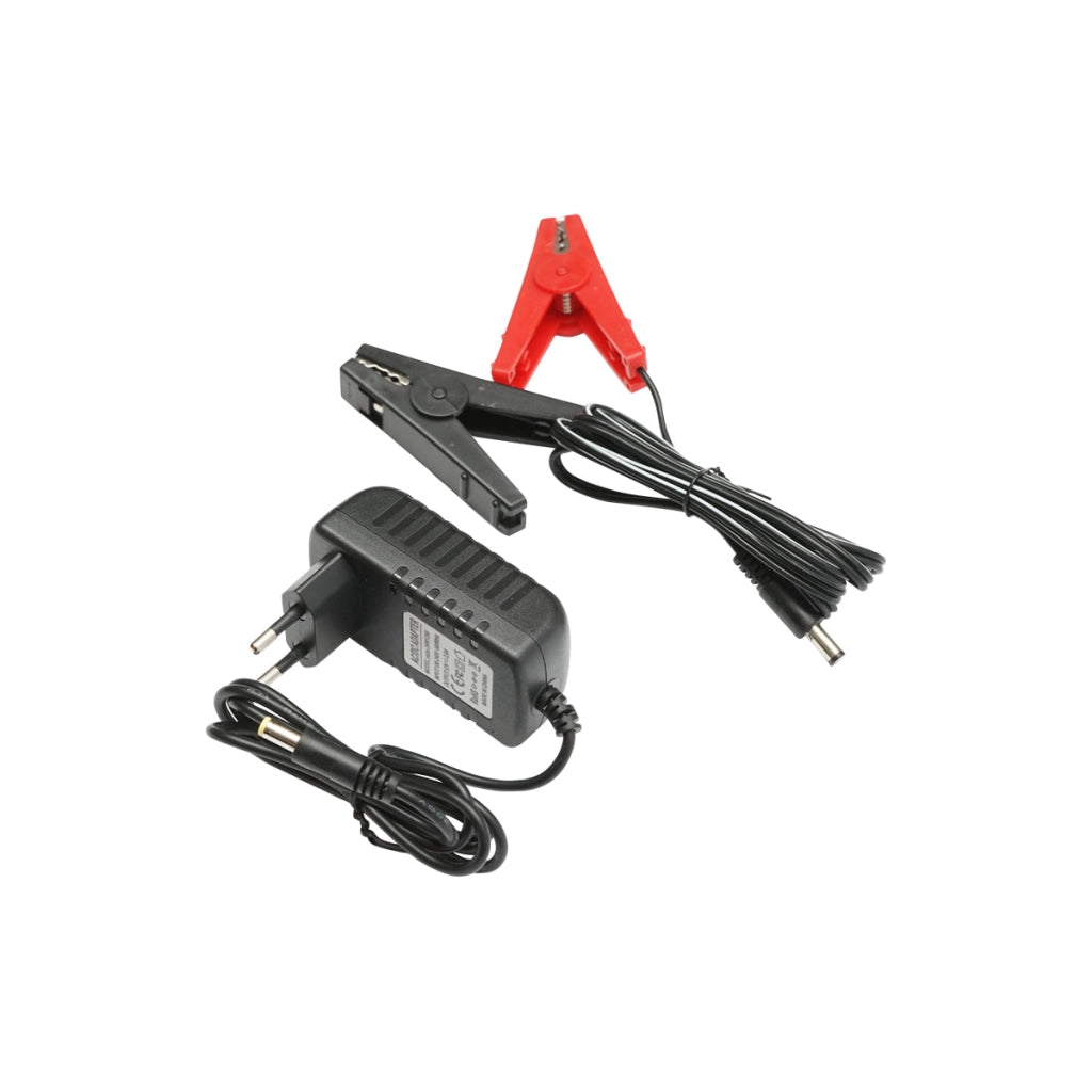 Elettrificatore 2 Joule per recinto elettrico 20Km, 12V/220V, BRITMANN