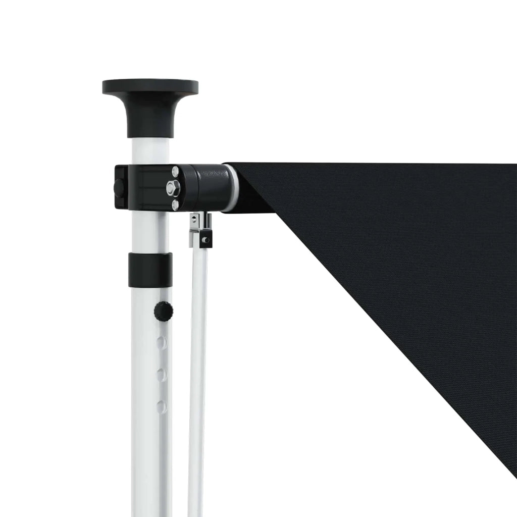 Tenda retrattile manuale Nero 150 cm 42037038