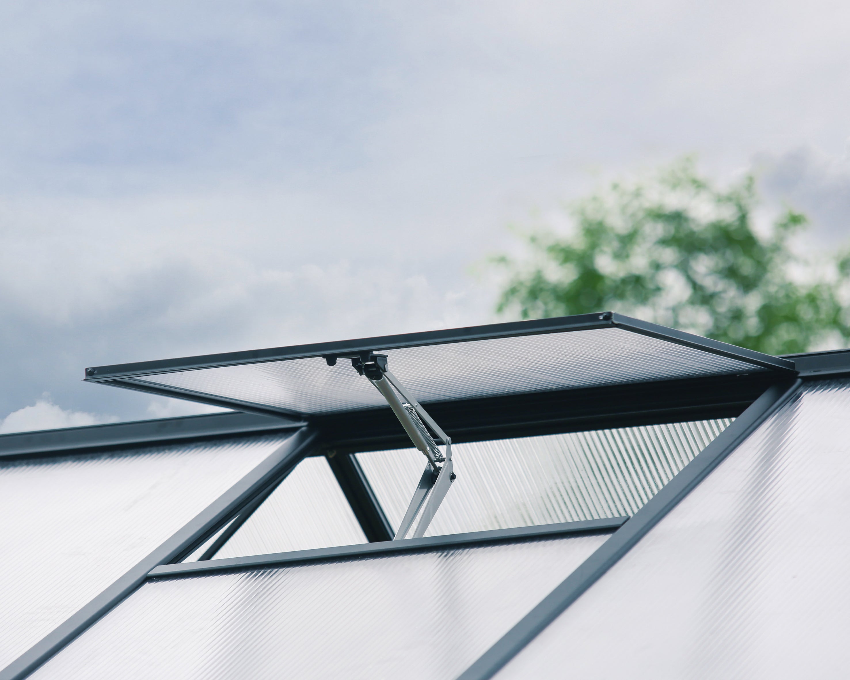 Serra Da Giardino in Policarbonato 458x304x285 cm- colore Nero Canopia ARIA Ibrida