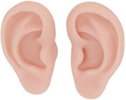 Model di Orefazione in Silicone Reutilizzabile - Modello di Orefazione - Modello di Addestramento - Pratica di Piercing - Esperienza Realistica - Dimensioni 7,5x4,5x1,7cm - Modello di Addestramento per Orefazione