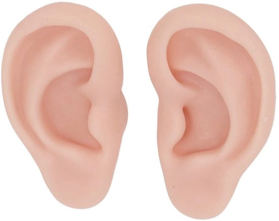 Model di Orefazione in Silicone Reutilizzabile - Modello di Orefazione - Modello di Addestramento - Pratica di Piercing - Esperienza Realistica - Dimensioni 7,5x4,5x1,7cm - Modello di Addestramento per Orefazione