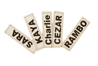 AIO FACTORY 115x95 cm KINGDOG Letto per cani impermeabile personalizzabile Silver Bones