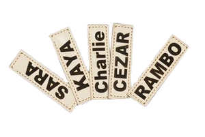 AIO FACTORY 115x95 cm KINGDOG Letto per cani impermeabile personalizzabile Silver Bones