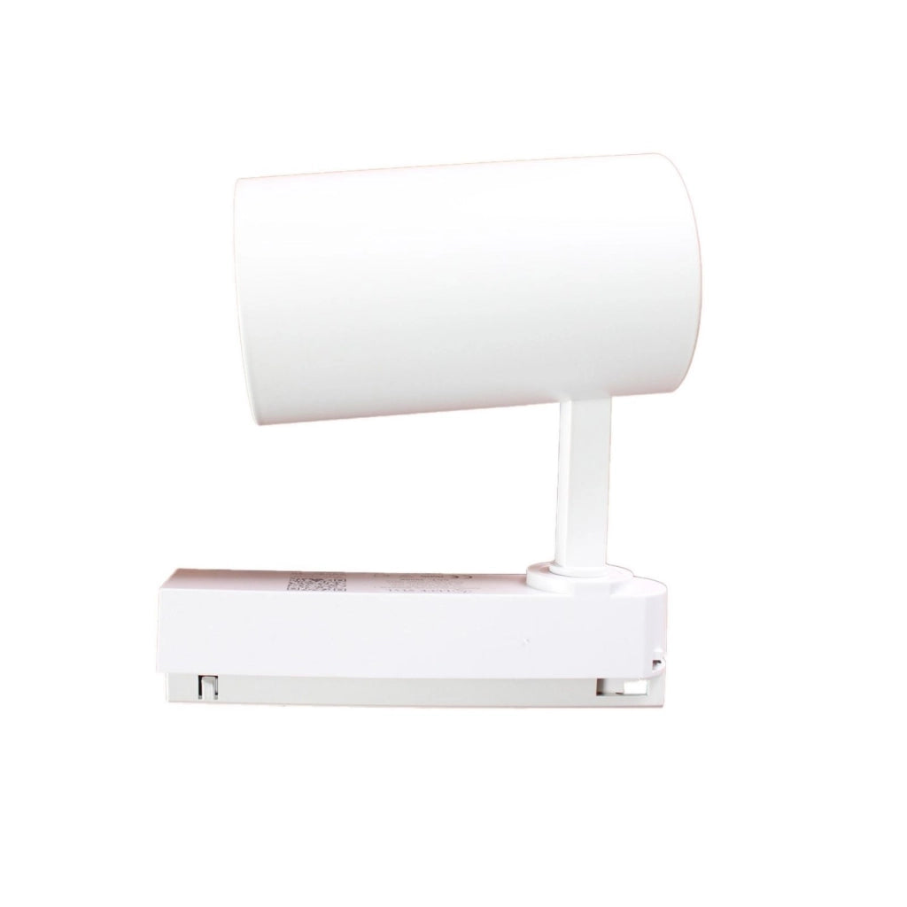 2 Pezzi Faro Bianco Mono Fase 30W 4000K