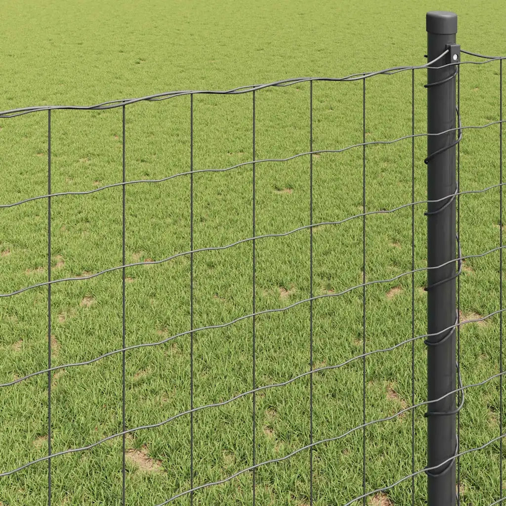 Recinzione Euro Grigio 0.6 x 25 m Ferro rivestito in PVC 42004603