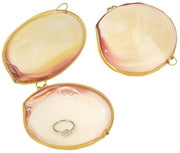 Organizzatore di gioielli a forma di conchiglia - 2,8 x 2,9 x 3,8 cm - Custodia decorativa con bordo dorato