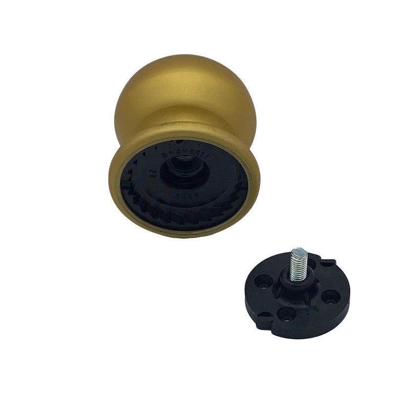 Pomolo fisso per porta SAGUATTI 169/70FB in alluminio oro satinato