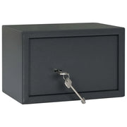 Cassaforte con blocco Grigio scuro 31 x 20 x 20 cm Acciaio CFW3827603