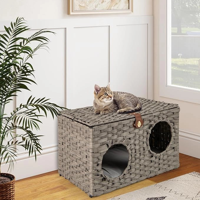 Cuccia per Gatti in Rattan 60 x 35 x 35 cm, Casetta per Gatti con Cuscino Morbido Rimovibile e Coperchio Bloccabile, Comodino per Animali Domestici per Soggiorno e Camera da Letto