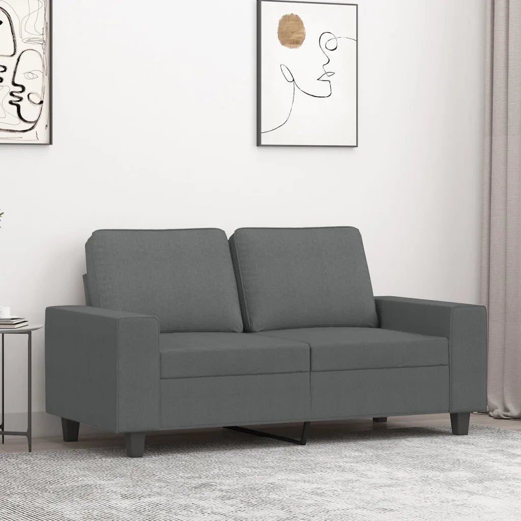 Divano | Divano da soggiorno | Sofa a 2 Posti Grigio Scuro 120 cm in Tessuto