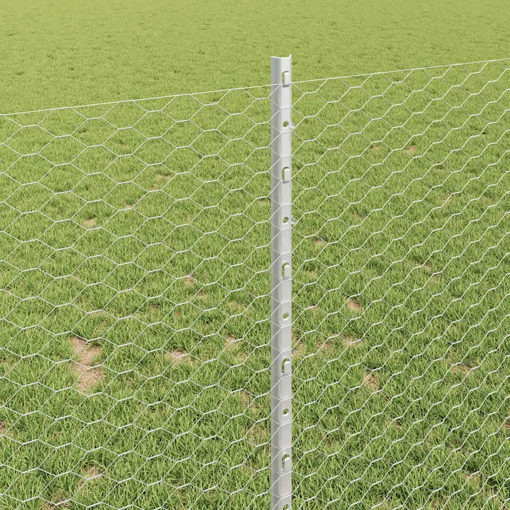Recinzione da Giardino | Recinzione con Posto Argento