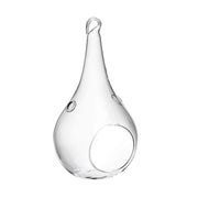 Terrario Bottle Garden Goccia forata da appendere per Terrario in vetro cm12x23h
