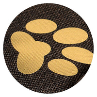 AIO FACTORY 75x65 cm KINGDOG Cuccia per cani impermeabile personalizzabile Golden Bones