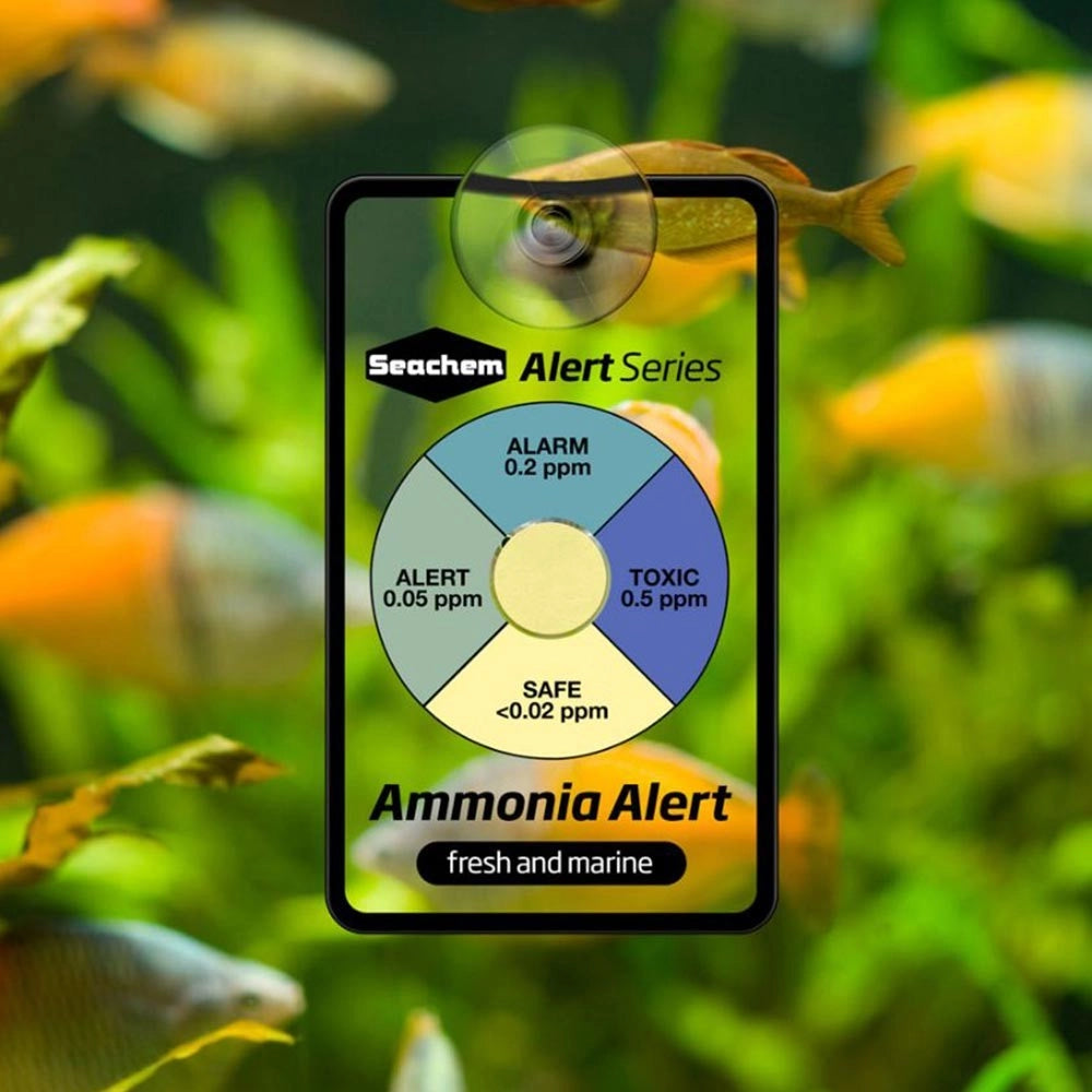Seachem AlertCombo pH/Ammonia Durata 6 Mesi