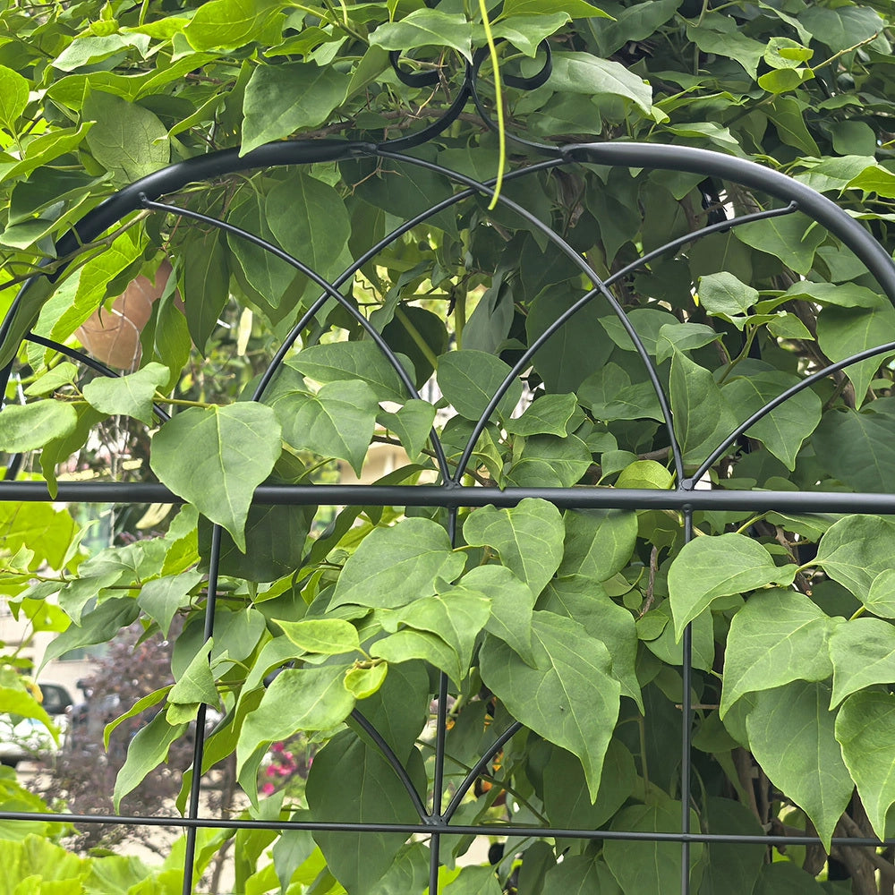Griglia metallica per giardino - Xylo - 2 pezzi - Per piante rampicanti e vasi