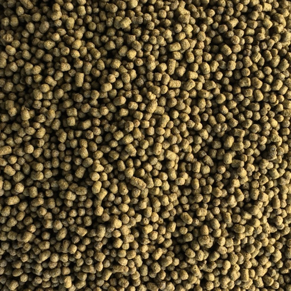 Korallen-Zucht Marine Fish Pellets 350gr - mangime in granuli da 2mm per pesci marini