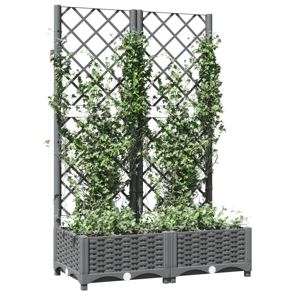 Fioriera da Giardino e Graticcio Grigio Chiaro 80x40x121,5cm PP 153271